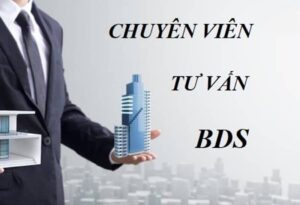 Kiến thức và kinh nghiệm cho người mới ở Big Housing Land.