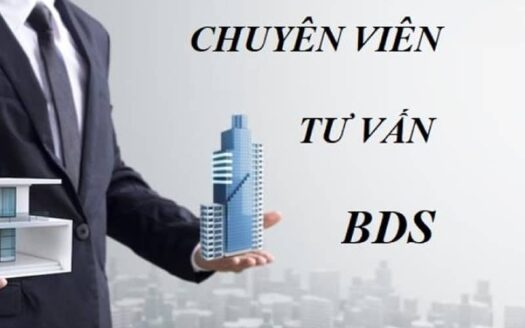 Kiến thức và kinh nghiệm cho người mới.