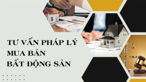 bất động sản Big Housing Land