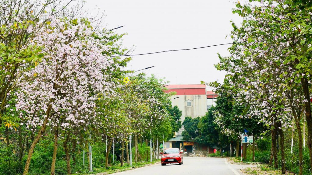 Yên Mỹ, Thanh Trì vươn mình thành làng du lịch đáng sống